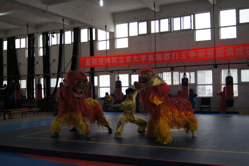 点击将在新窗口查看全图